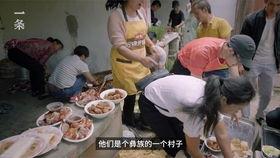 网红夏夏手鼓,鼓动青春，网红夏夏的鼓点人生